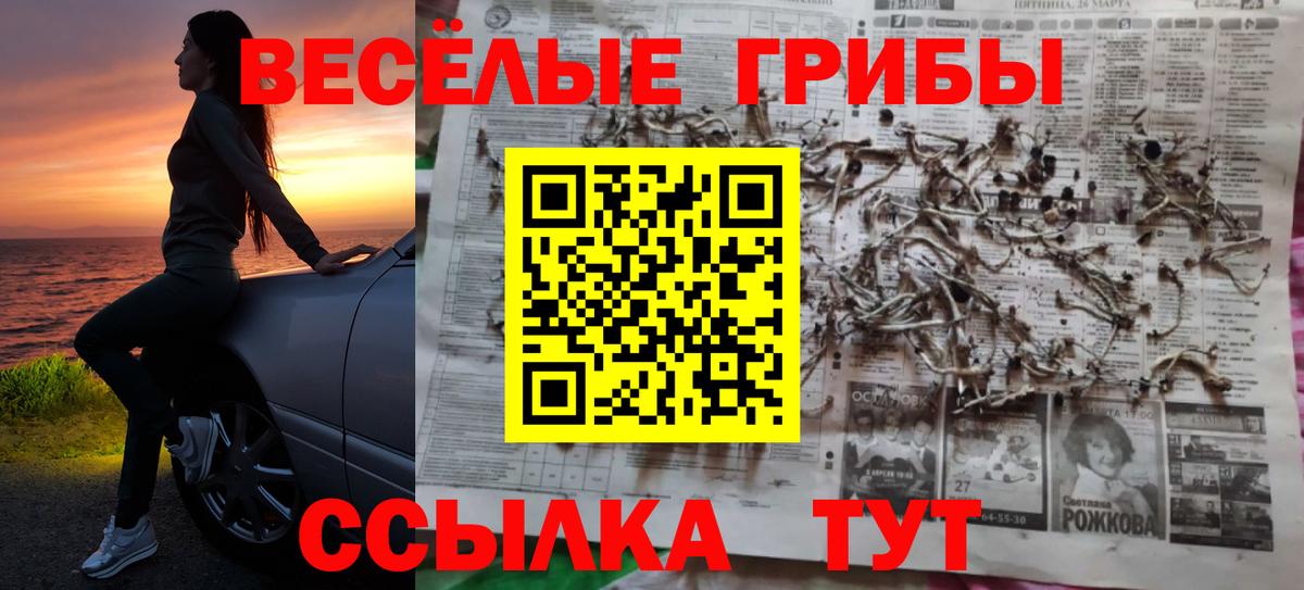 Галлюциногенные грибы ЛСД Тулун